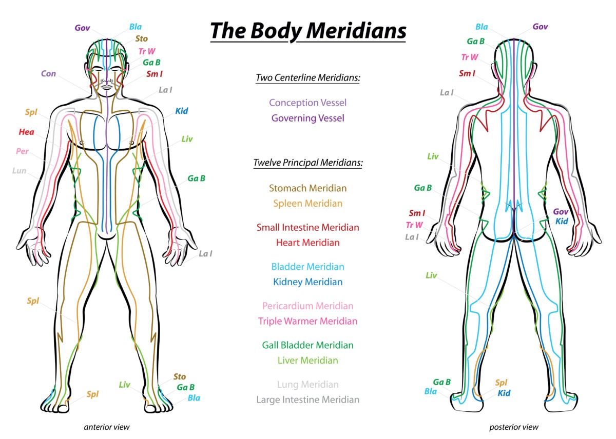 Restoring Balance Through the Twelve Meridians PALM Health