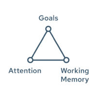 goals working memory attention