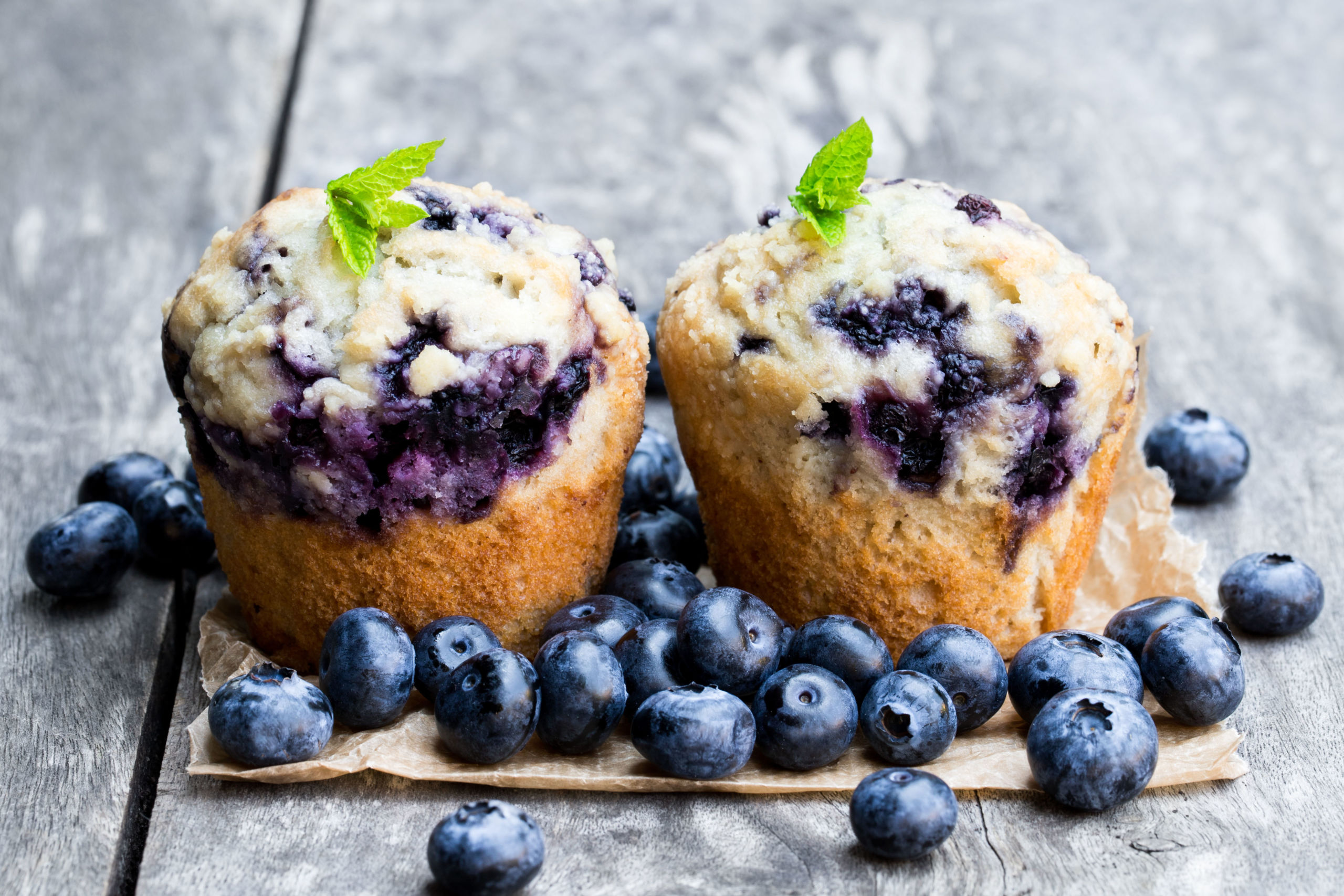 blueberry muffins protein