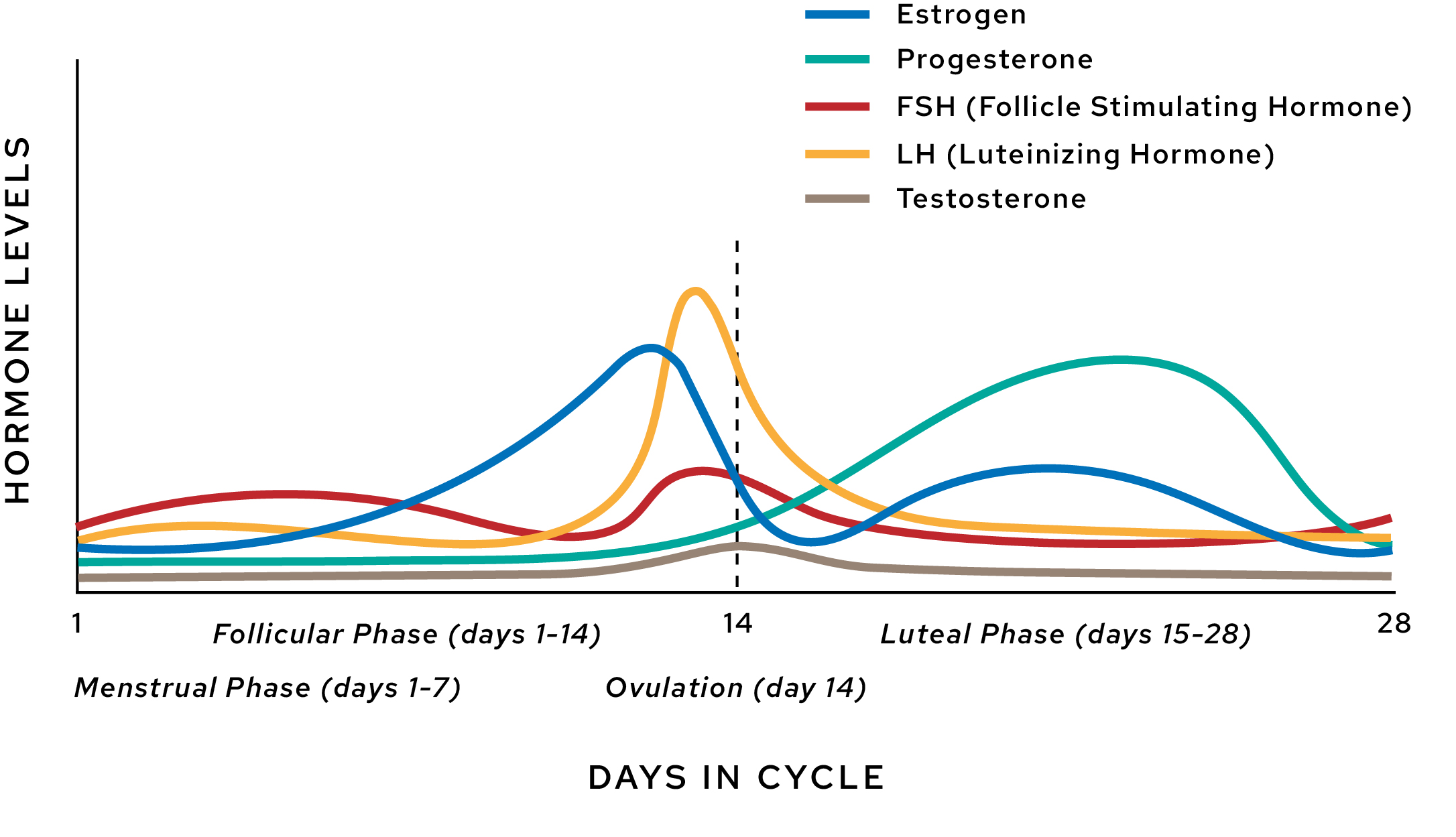 Healthy Luteal Phase with Progesterone